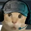 D-Rat