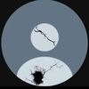shahd__a16