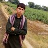 saqib.ali46278