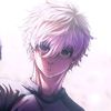 noza_257