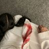 الشمالي المتمرد 🦅🦅🌷