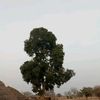 diallo.halidou2