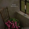 user80520379021246