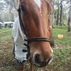 queenslandkid8