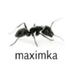 haxha19