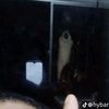 pocong.com4