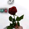 user6394221987484