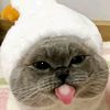 _hello7386