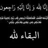 user6507215306008