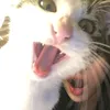 lesyaafimix