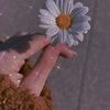 arash.nabi.zadeh
