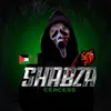 shabza_vgorode
