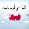 user6582525811279