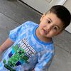 ali20141176