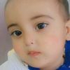 khizar.jani669