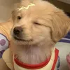mekittiii