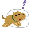 nnomuztnmj4