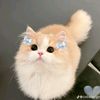 lelee659