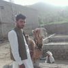 munsifkhan8660