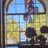 yadavi_35