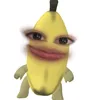 æ