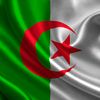 ibrahim.malek26