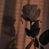 yenu_04