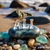 ali.0028