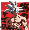 user052045378