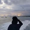 000_farel