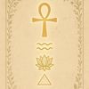 _divine_sol_