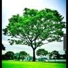 yeycop555