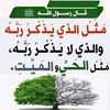 aqbalxaashi