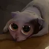 bobo123870