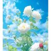 user5822750187244