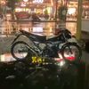 triaa686