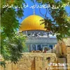 user1902820706255