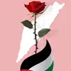 tamim.12260