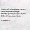 alya41083