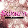 _sakura_official01