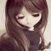 chel05841