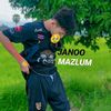 fullkingpti302
