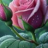 user8330822606161