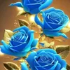 user51276161007806