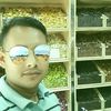 mdkamrul23islamgmail.com