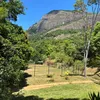 sitiotiobetinho