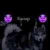 user6118468506092