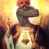 zshyegcvp