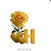 azeem.islam72