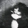 zlpx_0